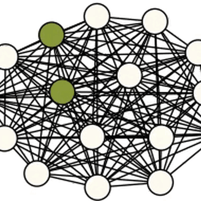 SNAP: Sequential Non-Ancestor Pruning for Targeted Causal Effect Estimation With an Unknown Graph